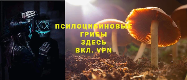 ECSTASY Бугульма