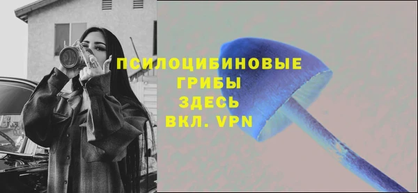 соль ск Бронницы