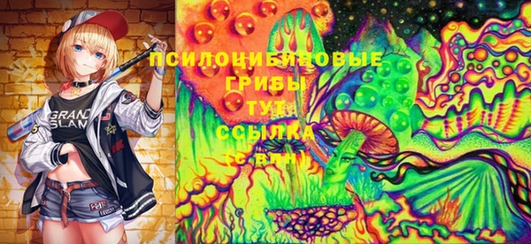 соль ск Бронницы